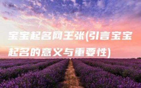 宝宝起名网王张(引言宝宝起名的意义与重要性)