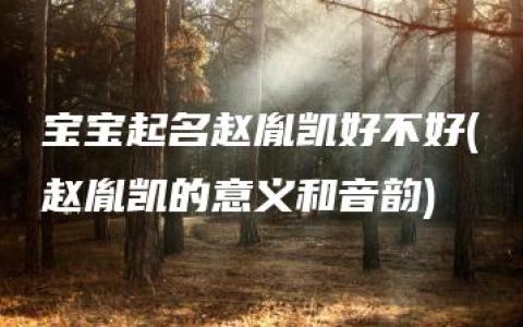 宝宝起名赵胤凯好不好(赵胤凯的意义和音韵)