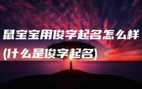 鼠宝宝用俊字起名怎么样(什么是俊字起名)