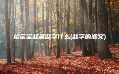 给宝宝起名赵学什么(赵字的涵义)