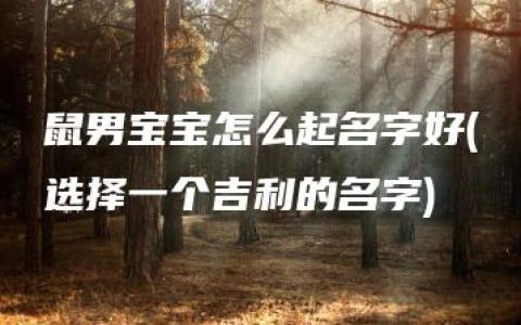 鼠男宝宝怎么起名字好(选择一个吉利的名字)