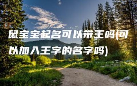 鼠宝宝起名可以带王吗(可以加入王字的名字吗)