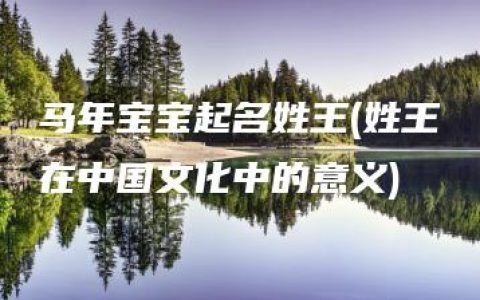 马年宝宝起名姓王(姓王在中国文化中的意义)