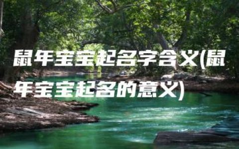 鼠年宝宝起名字含义(鼠年宝宝起名的意义)