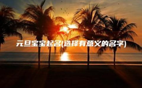 元旦宝宝起名(选择有意义的名字)