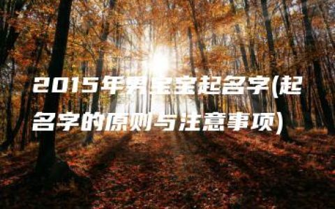 2015年男宝宝起名字(起名字的原则与注意事项)