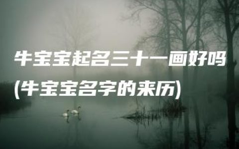 牛宝宝起名三十一画好吗(牛宝宝名字的来历)