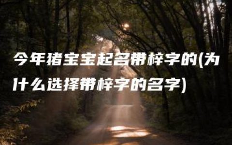 今年猪宝宝起名带梓字的(为什么选择带梓字的名字)