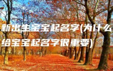 新出生宝宝起名字(为什么给宝宝起名字很重要)