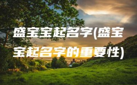 盛宝宝起名字(盛宝宝起名字的重要性)