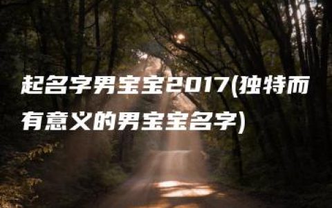 起名字男宝宝2017(独特而有意义的男宝宝名字)