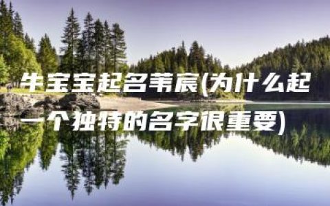 牛宝宝起名苇宸(为什么起一个独特的名字很重要)