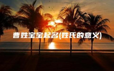 曹姓宝宝起名(姓氏的意义)