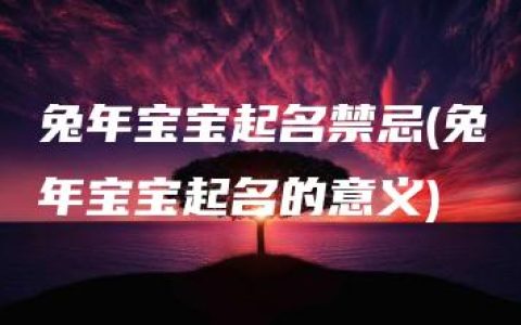 兔年宝宝起名禁忌(兔年宝宝起名的意义)