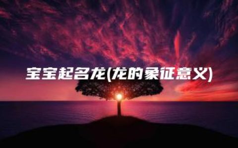 宝宝起名龙(龙的象征意义)