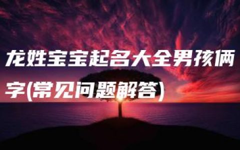 龙姓宝宝起名大全男孩俩字(常见问题解答)