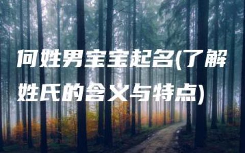 何姓男宝宝起名(了解姓氏的含义与特点)