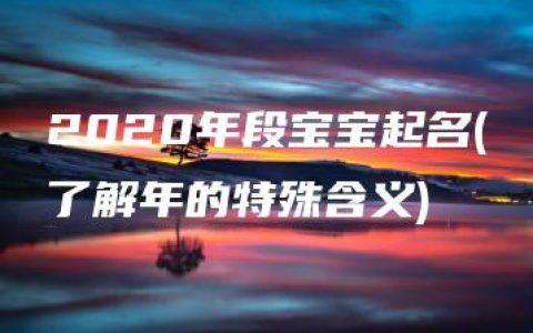 2020年段宝宝起名(了解年的特殊含义)