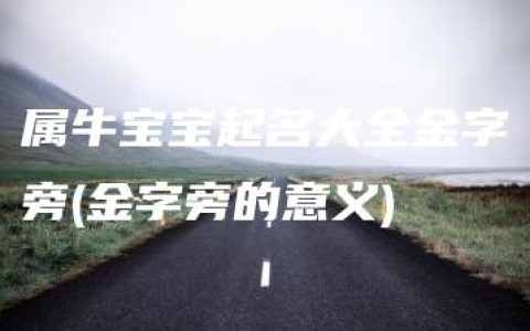 属牛宝宝起名大全金字旁(金字旁的意义)