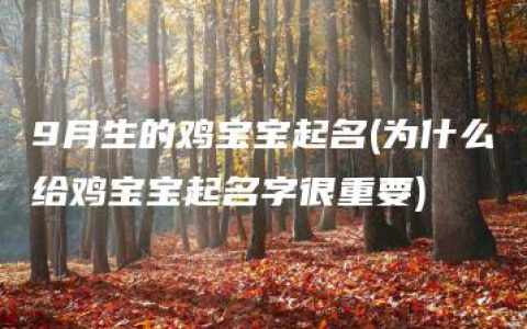 9月生的鸡宝宝起名(为什么给鸡宝宝起名字很重要)