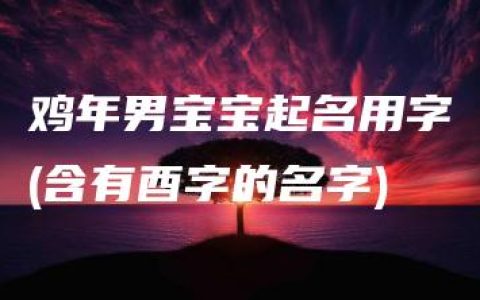 鸡年男宝宝起名用字(含有酉字的名字)