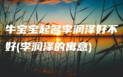 牛宝宝起名李润泽好不好(李润泽的寓意)