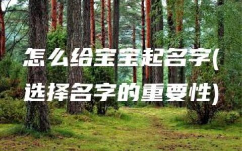 怎么给宝宝起名字(选择名字的重要性)