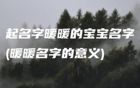 起名字暖暖的宝宝名字(暖暖名字的意义)