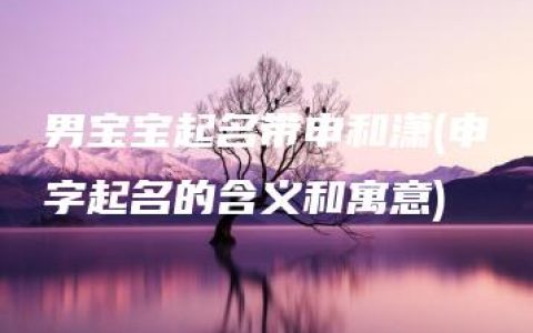 男宝宝起名带申和潇(申字起名的含义和寓意)