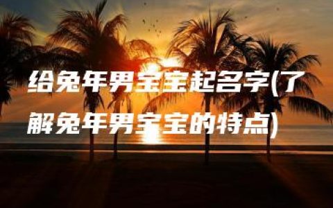 给兔年男宝宝起名字(了解兔年男宝宝的特点)