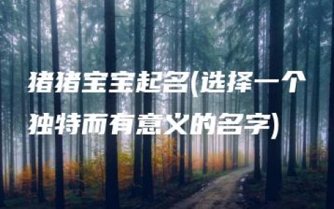 猪猪宝宝起名(选择一个独特而有意义的名字)