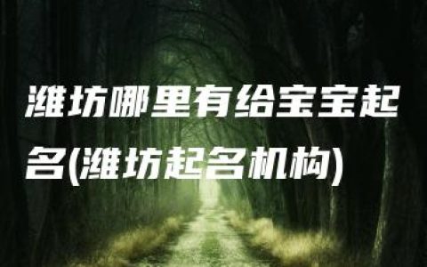 潍坊哪里有给宝宝起名(潍坊起名机构)