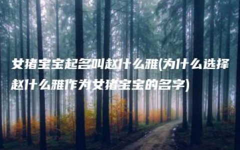 女猪宝宝起名叫赵什么雅(为什么选择赵什么雅作为女猪宝宝的名字)