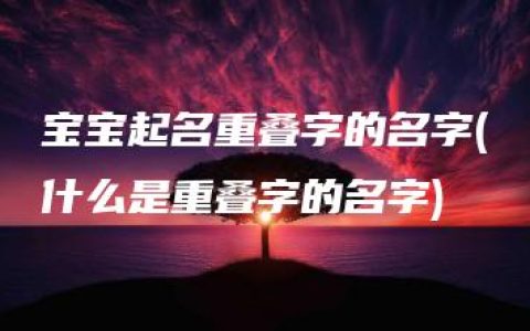 宝宝起名重叠字的名字(什么是重叠字的名字)