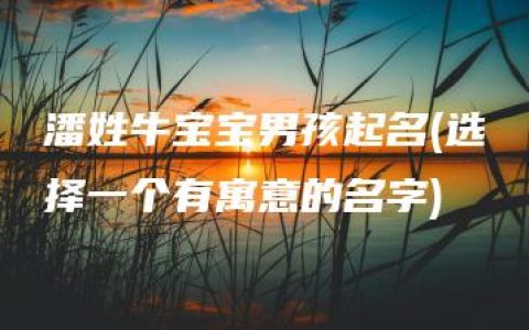 潘姓牛宝宝男孩起名(选择一个有寓意的名字)