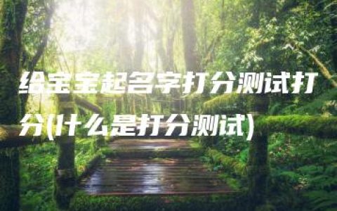 给宝宝起名字打分测试打分(什么是打分测试)