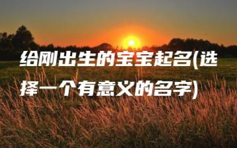 给刚出生的宝宝起名(选择一个有意义的名字)