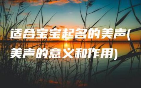 适合宝宝起名的美声(美声的意义和作用)