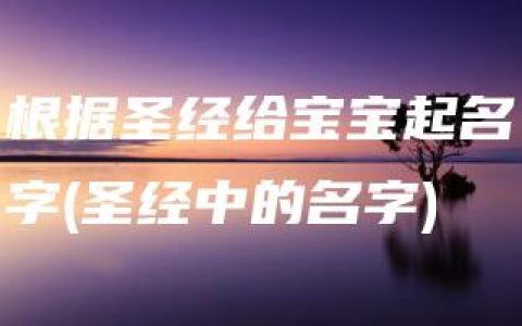 根据圣经给宝宝起名字(圣经中的名字)