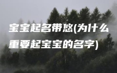 宝宝起名带悠(为什么重要起宝宝的名字)