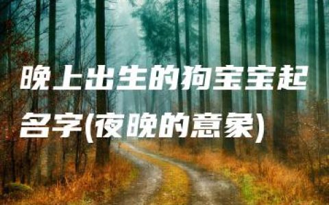 晚上出生的狗宝宝起名字(夜晚的意象)