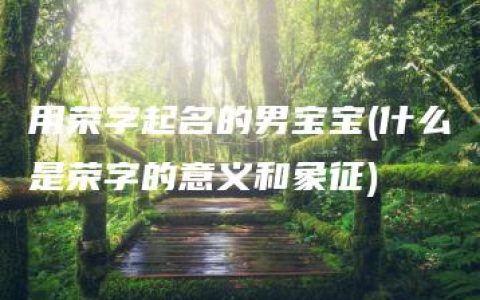 用荣字起名的男宝宝(什么是荣字的意义和象征)