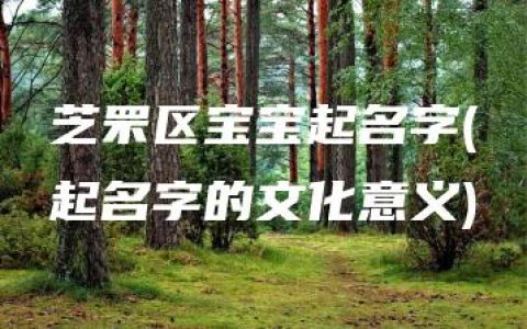 芝罘区宝宝起名字(起名字的文化意义)