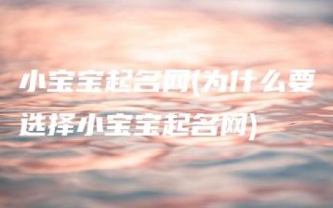 小宝宝起名网(为什么要选择小宝宝起名网)