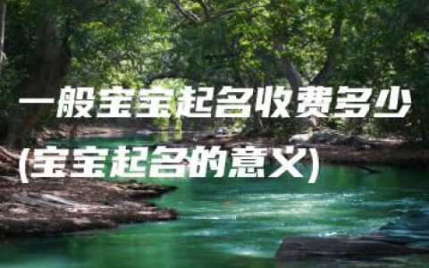 一般宝宝起名收费多少(宝宝起名的意义)