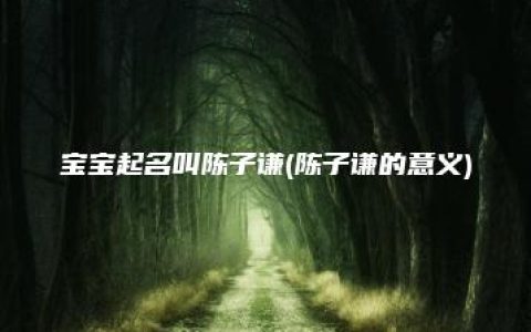 宝宝起名叫陈子谦(陈子谦的意义)