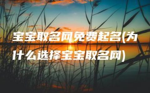 宝宝取名网免费起名(为什么选择宝宝取名网)