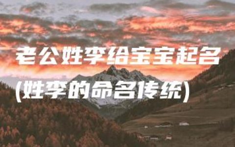 老公姓李给宝宝起名(姓李的命名传统)