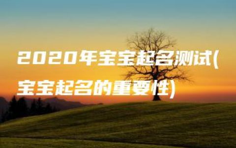 2020年宝宝起名测试(宝宝起名的重要性)