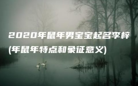 2020年鼠年男宝宝起名李梓(年鼠年特点和象征意义)